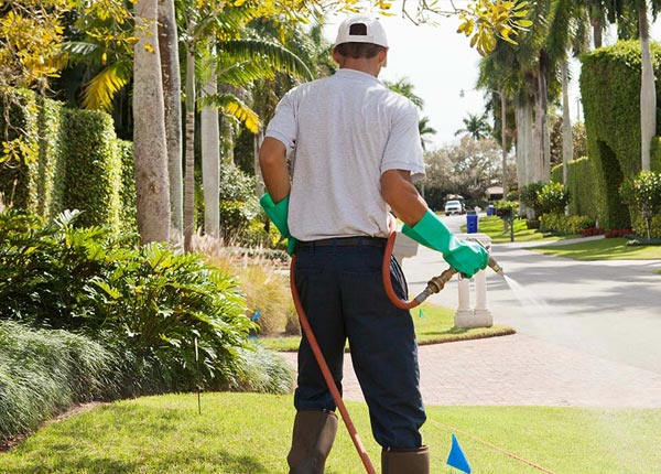 About Weaverville CA Pest Control